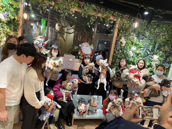 森林小徑大墩店對寵物超友善